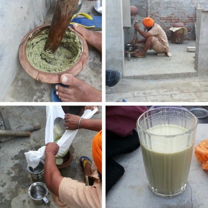 Traditionel fremstilling af bhang i Punjab, Indien