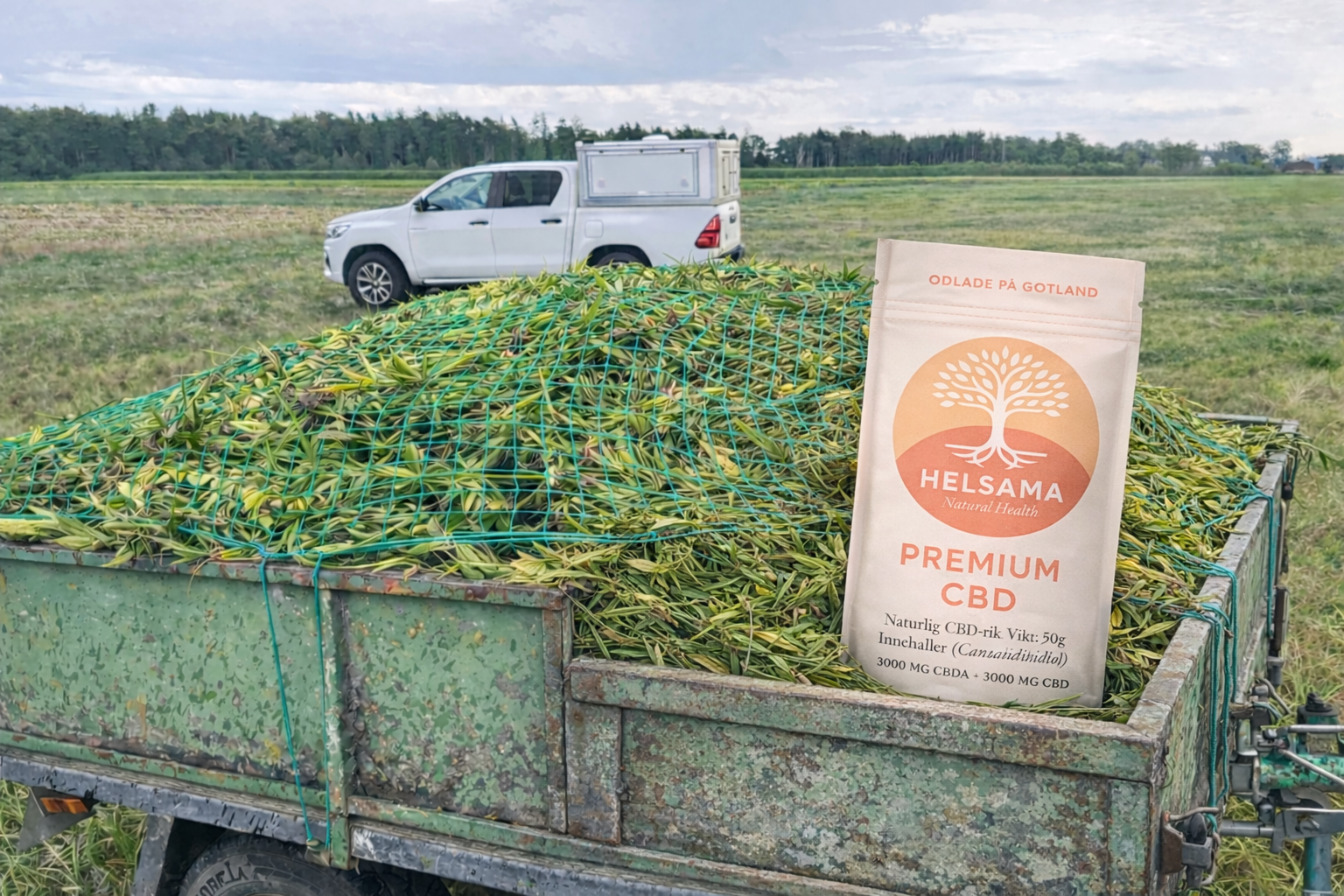 Premium CBD från Gotland, Kvalitet & ursprung